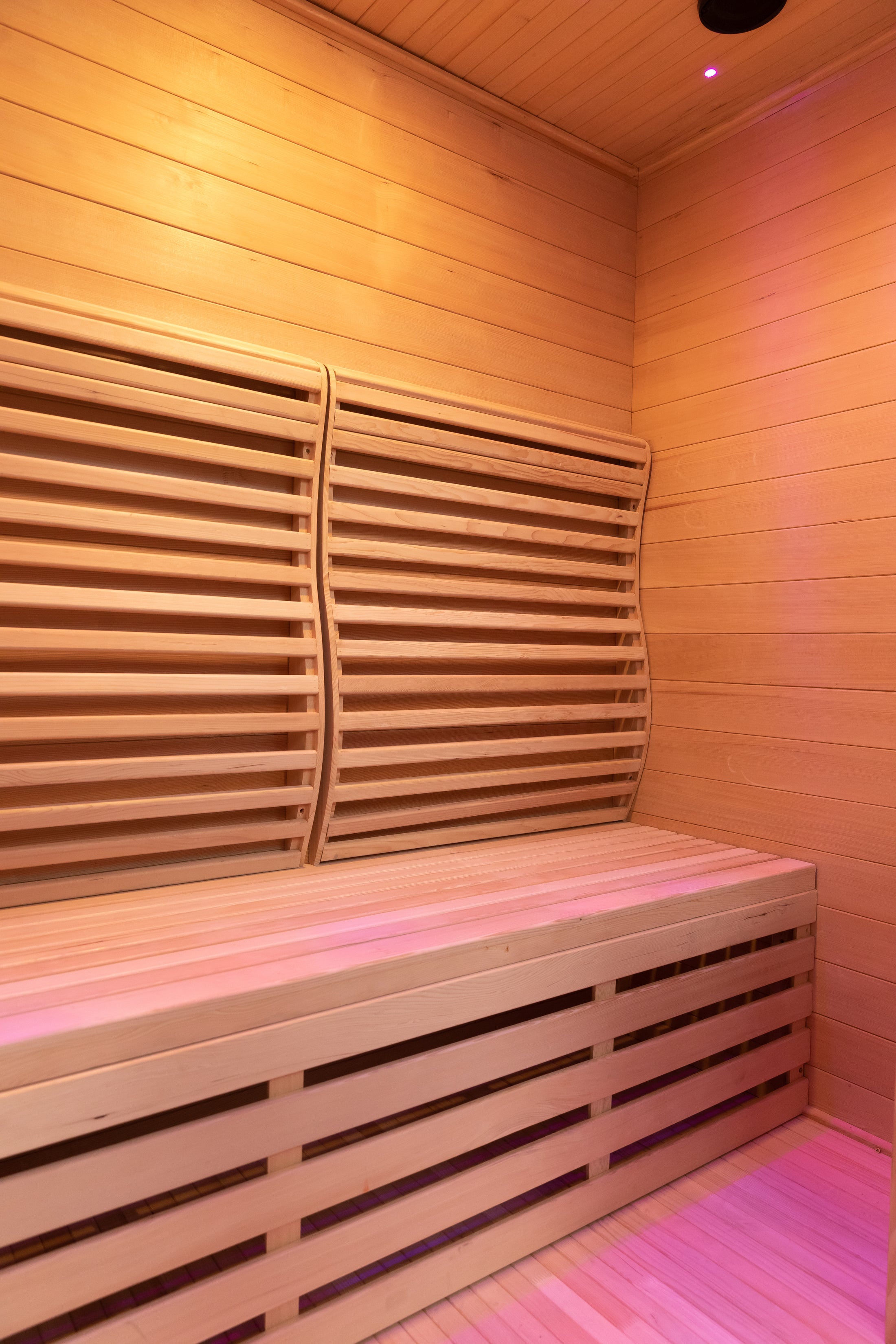 2 PERSON AT-HOME MODERN INDOOR SAUNA